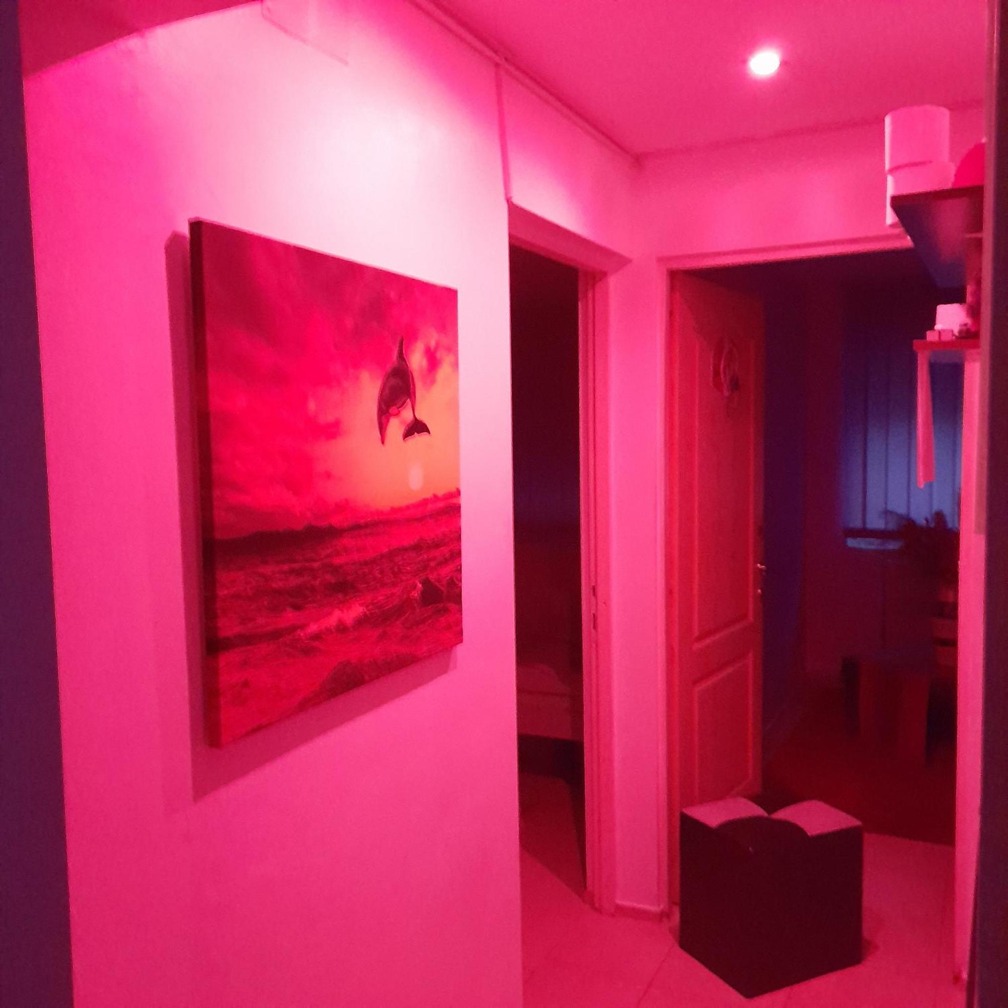 Apartment Boulevard Cetate Gyulafehérvár Kültér fotó